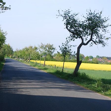 Langwedel  Ferienwohnung Im Grunen - Hof Blohme المظهر الخارجي الصورة