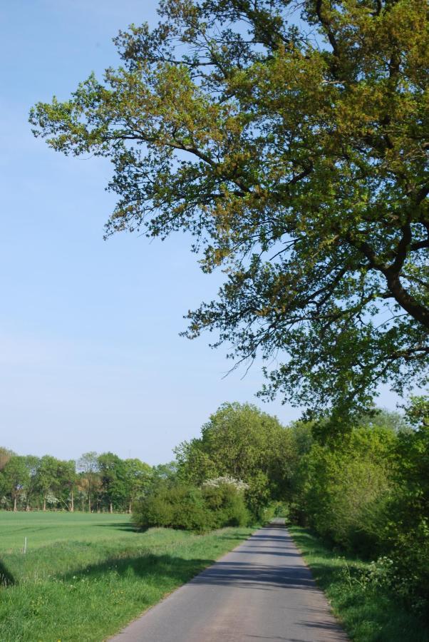 Langwedel  Ferienwohnung Im Grunen - Hof Blohme المظهر الخارجي الصورة