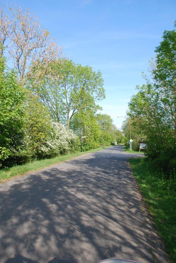 Langwedel  Ferienwohnung Im Grunen - Hof Blohme المظهر الخارجي الصورة